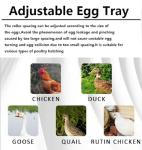 Automatic Egg Incubator with Humidity Control (256 Eggs)