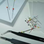 Butterfly Specimen Making Tools for Science Classrooms