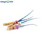 EASYINSMILE Dental X-TWO Rotary Endodontic Tips
