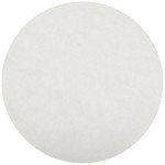 Ahlstrom 6010 Qualitative Filter Paper, 12cm, 100 Pack
