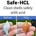 Safe-HCL Seashell Cleaning Kit with Safety Gear