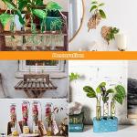 Oungy 50-Pack Clear Plastic Test Tubes with Caps