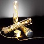 Clear Plastic Test Tubes with Caps - 20pcs