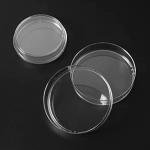 20 Plastic Petri Dishes with Lids, Sterile