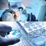 20 Pack Sterile 90mm Plastic Petri Dishes