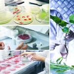 20 Pack Sterile 90mm Plastic Petri Dishes