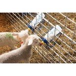 Wide Mouth Lamb & Kid Feeding Bottle Rack