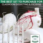 5-Piece Stainless Steel Precision Probe Set