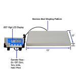 Brecknell LPS-15 Bench Scale for Accurate Weighing
