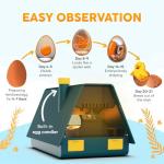 Okkobi M10 Egg Incubator with Automatic Turning