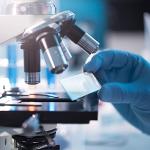 100 Pack of Clear Glass Microscope Slides 1" x 3