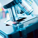 100 Pack of Clear Glass Microscope Slides 1" x 3