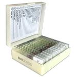 BoliOptics 25 Prepared Microscope Slides Set
