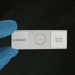 12-Piece Vertebrate Histology Microscope Slide Set