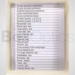 BoliOptics 25 Prepared Microscope Slides Set