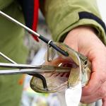 Ultimate 6-Piece Hemostat Set for Versatile Use