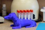 Dachshund Test Tube Rack - Holds 10 Tubes