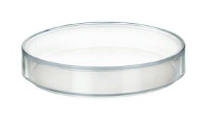 EISCO 2" Reusable Plastic Petri Dish with Lid