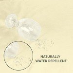 Ivory Rectangle Tablecloths - 2 Pack, 60x126 Inches