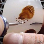 30 Pcs Ball Shape Diamond Burr Set for Rotary Tools