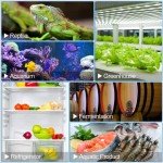 Digital Thermostat Controller with Timer for Heating