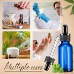 Lallisa 100 Pack Blue Glass Dropper Bottles 30ml