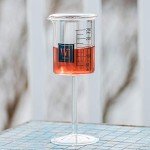 Set of 2 Clear Glass Laboratory Beakers