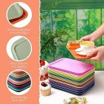 20-Pack Colorful Plastic Fast Food Serving Trays