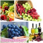 Grape Wine Brewing Refractometer – Sugar & Alcohol Measure