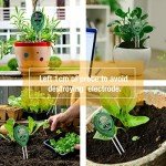 Digital pH and TDS Meter Kit, 3 Pack