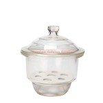 Deschem 120mm Glass Desiccator for Labs
