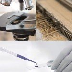 100 Microscope Slides & 200 Cover Slips Set