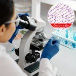 100 Microscope Slides & 200 Cover Slips Set