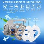 Reusable Half Face Respirator for Organic Vapors