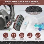 Full Face Respirator with 2097 & 6001CN Filters