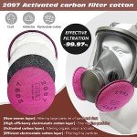 Full Face Respirator with 2097 & 6001CN Filters