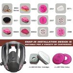 Full Face Respirator with 2097 & 6001CN Filters
