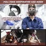 Full Face Respirator with 2097 & 6001CN Filters