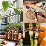 20pcs 35ml Glass Test Tubes with Cork Stoppers