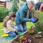 Extra Thick Kneeling Pads - 2-Pack, Soft Foam