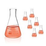 Okulab 6-Piece Glass Conical Flask Set 50ml