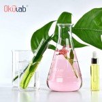 Okulab 6-Piece Glass Conical Flask Set 50ml