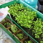 500 ml Wash Bottle: Side Wash Bottle Water Bottle Squeezer Bottle Squeeze Sprinkling Can for Dispensing Liquid Labs