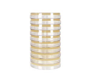 Tryptic Soy Agar (TSA), with Typtone & Soytone, General Growth Medium, (10-Pack), Pre-Poured 15x100mm Petri Plates