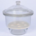 Stonylab Borosilicate Glass Desiccator with Porcelain Plate