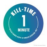 Bioesque Heavy-Duty Botanical Disinfectant Solution, 1 Gallon