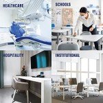 Bioesque Heavy-Duty Botanical Disinfectant Solution, 1 Gallon