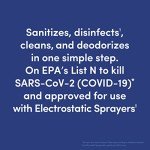 Bioesque Heavy-Duty Botanical Disinfectant Solution, 1 Gallon