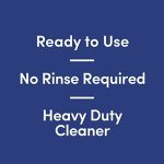 Bioesque Heavy-Duty Botanical Disinfectant Solution, 1 Gallon