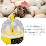 Fdit Mini Egg Incubator with Auto Temperature Control